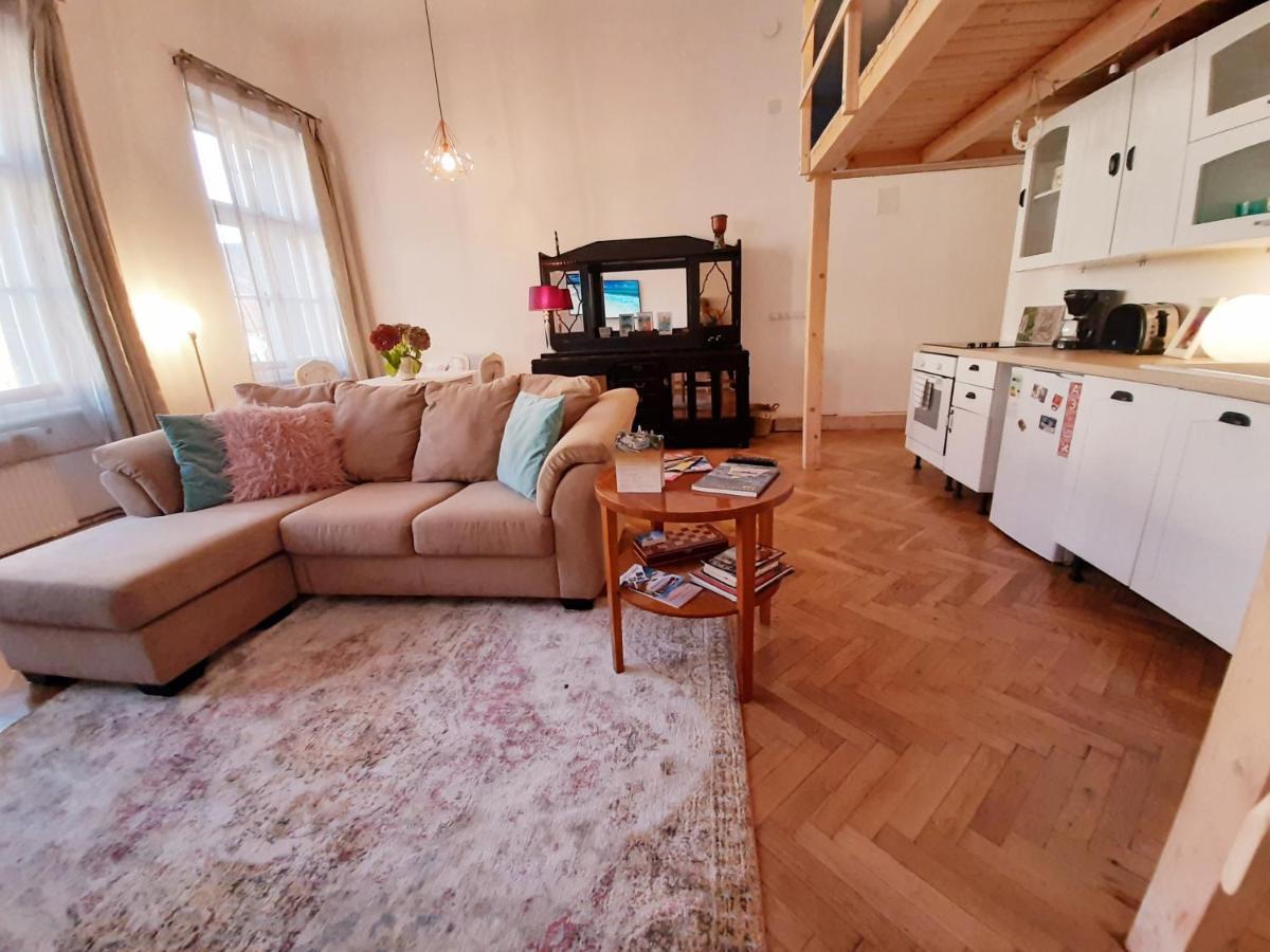 Central Loft Apartment Μπρασόβ Εξωτερικό φωτογραφία